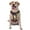 Without Accessories, variant on Vsdgher Rainbow Sunset Cloud White Horse Pattern Dog Harness,No Pull Pet Harness with Soft Padded Handle,Adjustable Reflective Vest with 2 Buckles,4 Slide Buckles,S-XL X-Large