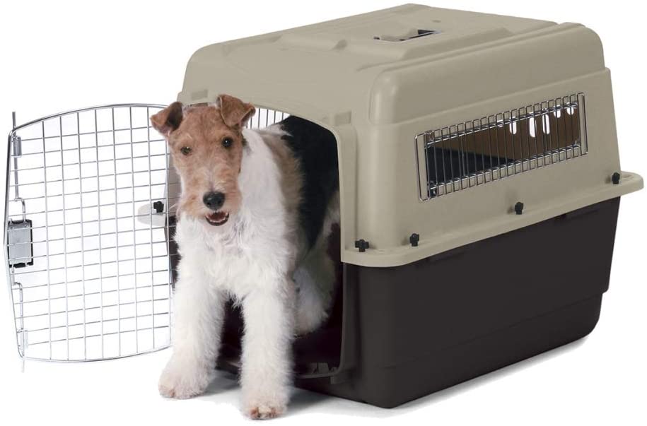 vari kennel medium