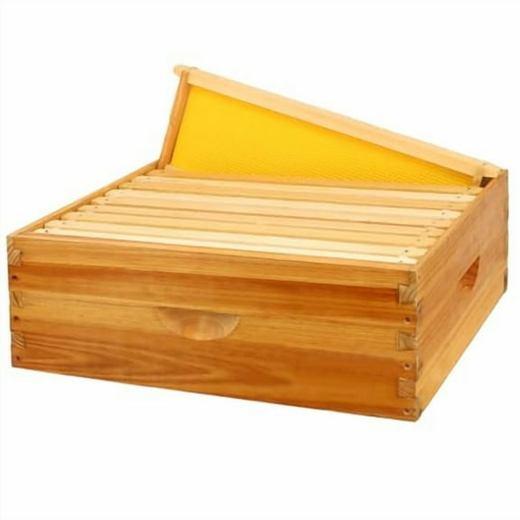 10 Frame Bee Hive Box, Langstroth Medium Super Bee Box Dipped in 100% Beeswax Include Beehive Frames and Waxed Foundation Sheets (Unassembled)