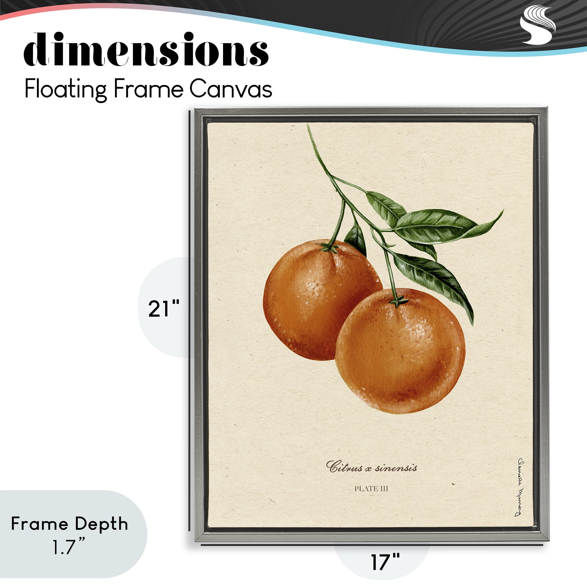 Stupell Industries Orange Fruit Portrait Gray Framed Floater Canvas Wall Art, design by Danielle Murray