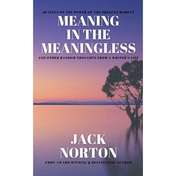 Meaning In The Meaningless Musings On The Power Of The Present Moment And Other Random Thoughts From A Writer S Life Paperback Walmart Com Walmart Com
