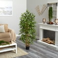 thumbnail image 6 of Nearly Natural 64" Bamboo Artificial Tree, 6 of 6