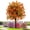 Orange, variant on Artificial Violet For Outdoor Indoor Garden Home Decoration, Uv Resistant & Waterproof Artificial Flower Decor, 23" Ground Insert Faux Violet Flowers For Porch Patio Garden Home Yard