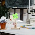 thumbnail image 5 of Milisten 1Pc DIY Hand-made Wind Generator Science Experiment Toy for Primary School Students, 5 of 5