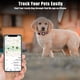 thumbnail image 2 of Collar para perros compatible con Airtag ajustable para perros pequeños, 2 of 6