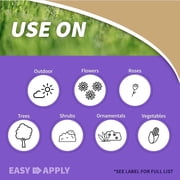 2 PACK Pyrethrin Concentrate Garden and Insect Spray, Bonide Products, 8 oz each