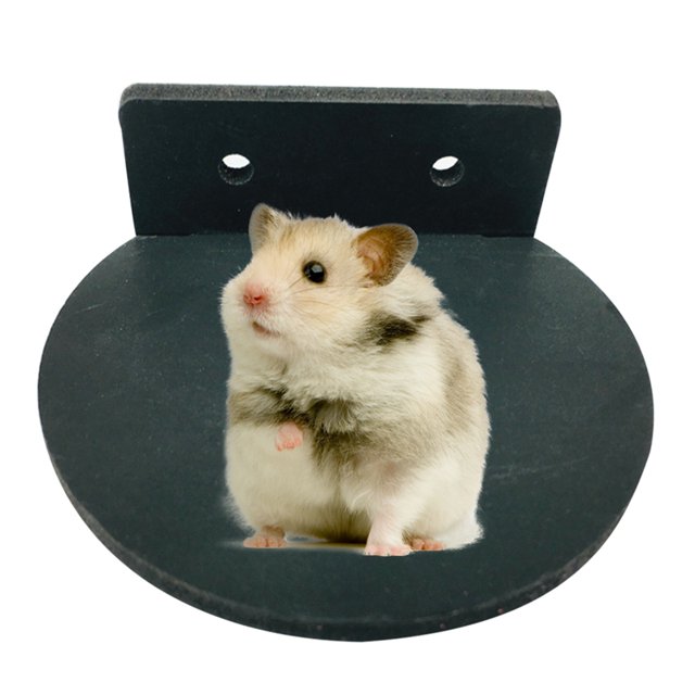 Petit Animal Perche Amovible Interactif Oiseau Stand Plate-Forme Hamster Cage Perche
