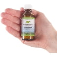 thumbnail image 3 of Native Remedies BrightSpark Tablets, 2-Pack, 3 of 5