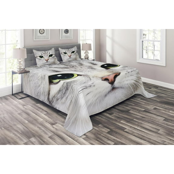 Ambesonne Animal Quilted Coverlet 3 Pcs, Domestic Kitty Portrait, Queen Size, Multicolor