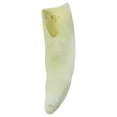 thumbnail image 4 of Real Alligator Tooth In Bottle Cork Genuine Gator Teeth Taxidermy Keepsake Glass Jar, 4 of 4