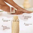 thumbnail image 3 of Juego de esponja de lufa natural exfoliante, hecha con exfoliante corporal ecológico y biodegradable de lufa, limpia profundamente y vigoriza tu piel Ormromra CZMR-ST256, 3 of 5