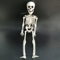thumbnail image 5 of Full Body Halloween Skeleton Decoration - Movable Joints (Shoulder, Elbow, Wrist), +PE, 40cm Size, Ideal for Halloween Parties, Home/Outdoor Decor, 5 of 6