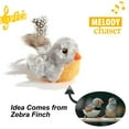 thumbnail image 6 of Vealind Three Dogs & A Cat Melody Chaser Interactive Cat Toy (Grey Bird & Grey Mouse), 6 of 6