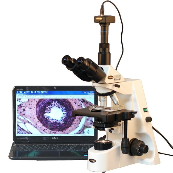 AmScope 40X-2500X Infinity Plan Achromatic Compound Microscope with 1.3MP Digital Camera New
