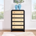thumbnail image 2 of Meridian Furniture Siena Black Ash Wood and Natural Cane Chest, 2 of 10