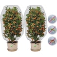 thumbnail image 1 of Red para árboles frutales (tamaño de malla de 1 x 1,5 m/0,8 mm), red protectora contra insectos, paquete de 2 redes protectoras para plantas con cordón, red para jardín, 1 of 5