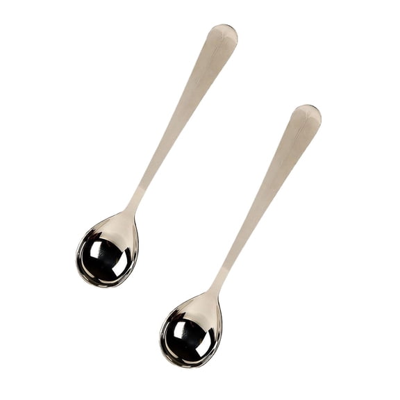 Stainless Steel Jar Serving Spoons 10.75 in Long Handle Set of 2
