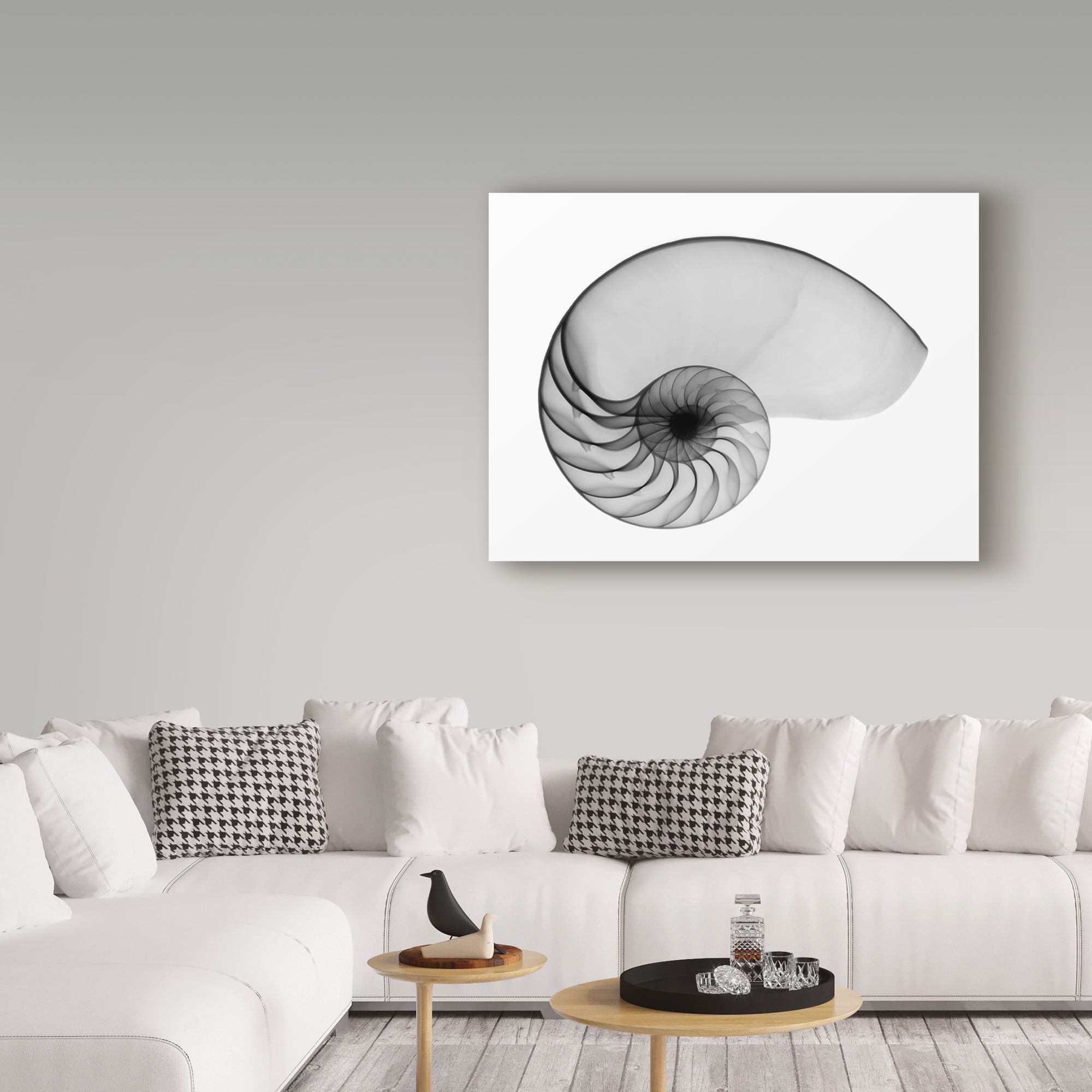 Trademark Fine Art 'Nautilus Shell Lite X Ray' Canvas Art by Bert Myers