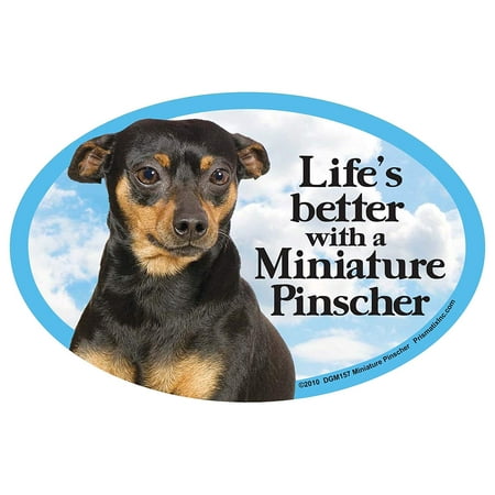 Miniature Pinscher Oval Dog Magnet for Cars (and fridges