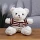 thumbnail image 1 of Osito de peluche que graba, muñeco parlante, muñeco de tela, lindo oso de abrazo, muñeco para niñas, 1 of 6