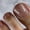 JML242 (glue type), variant on Cross-border flash sequins fake nails simple daily wear nail pads 24 removable toenails summer nail stickers