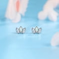 thumbnail image 6 of Limerencia Pure Titanium Hypoallergenic Earrings Crown Zirconia Implantable Grade For Sensitive Ears, 6 of 6