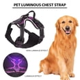 thumbnail image 4 of CSChome Harnais Lumineux pour Animaux Harnais Lumineux pour Animaux Rechargeable LED Éclairé - Sangle de Poitrine Lumineuse Réglable pour Promenade Nocturne, 4 of 7