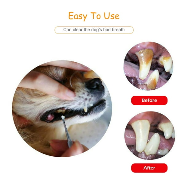 Dog tooth on sale cleaner