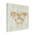 thumbnail image 2 of Trademark Fine Art 'Natural Flora VII' Canvas Art by Danhui Nai, 2 of 3