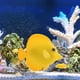 thumbnail image 4 of Acuario Artificial Luminous Fish Silicone Glowing Fish Tank Decor (Amarillo) JShteea  Libre de BPA, 4 of 9
