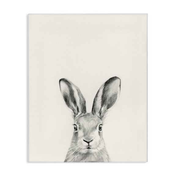 Stupell Industries Farmhouse Bunny Rabbit Portrait Grey Canvas Art, 24 x 30, by Victoria Borges