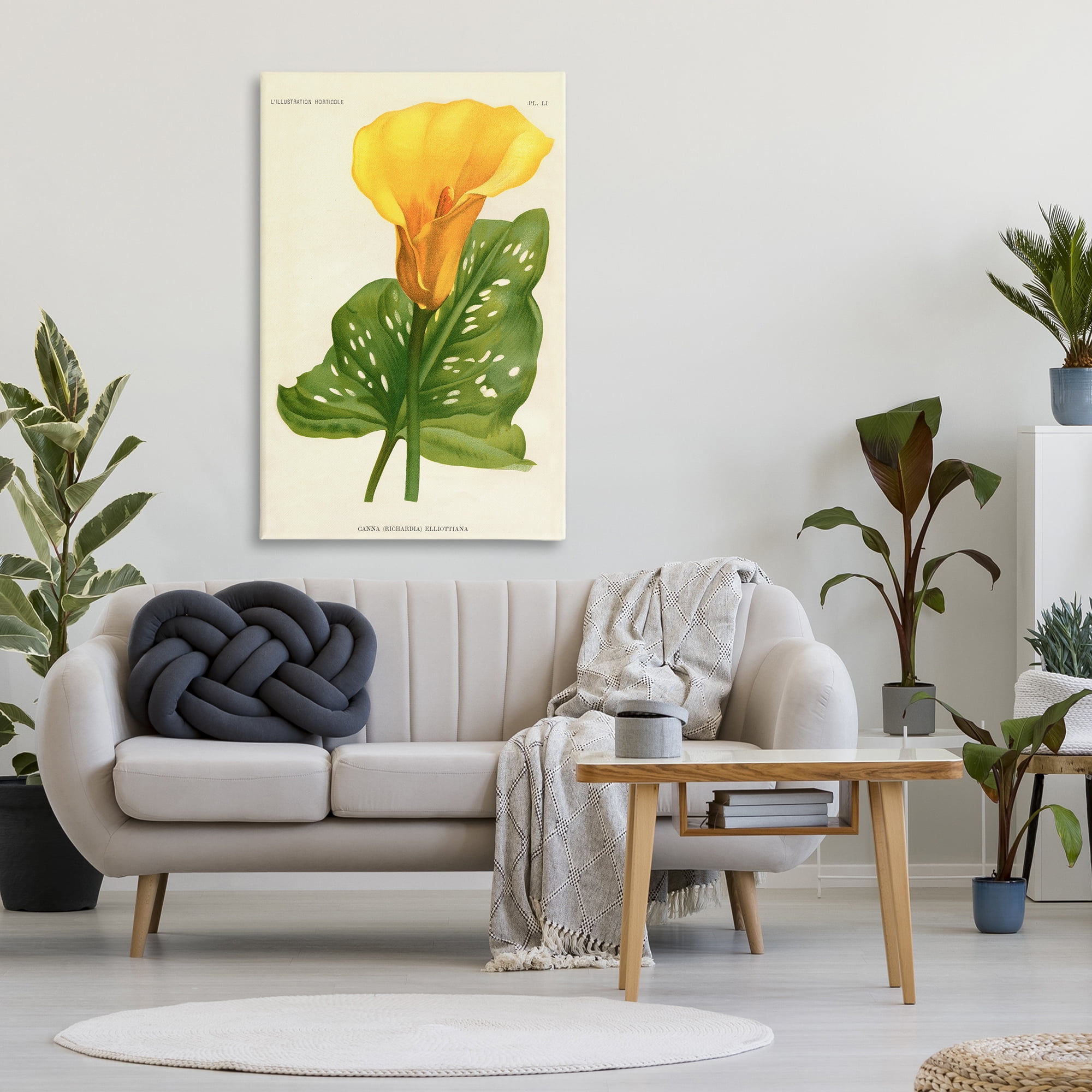 Stupell Industries Yellow Canna Lily Canvas Wall Art, design by Print Collection