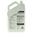 Eliminator ReadytoUse Weed & Grass Killer Refill Herbicide, 1.33 Gallon or 10.62 lb Container