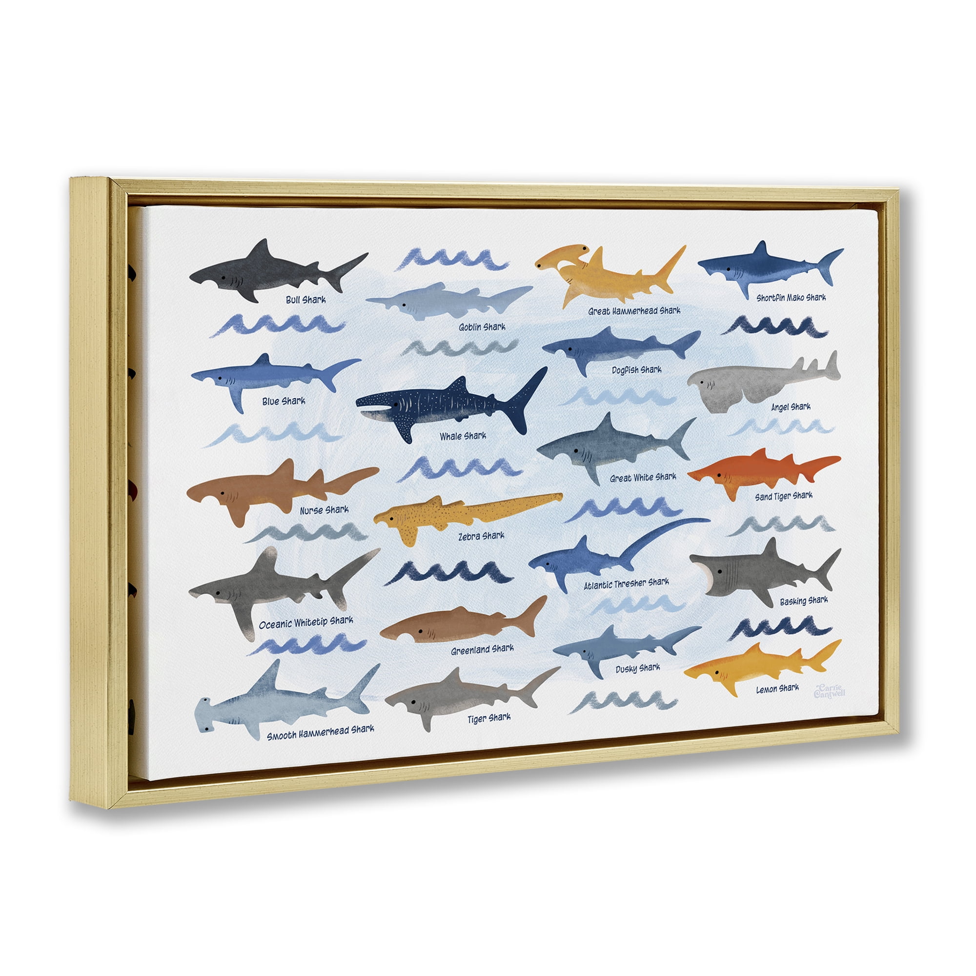 Stupell Industries Various Shark Breeds Coastal Painting Gold Floater Framed Art Print Wall Art, 25 x 17