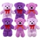 thumbnail image 1 of Set de 6 piezas Osos Mix Flomo Color Morado Surtidos de peluche, 1 of 4