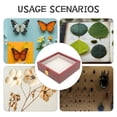 thumbnail image 4 of ETHZZLE Square Wood Shadow Box Display Case with Acrylic Cover for Butterfly Flower Specimens, 4 of 8