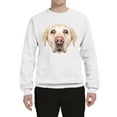 thumbnail image 2 of Wild Bobby, Golden Retriever Cute Gift, Dog Lover, Unisex Crewneck Graphic Sweatshirt, White, Small, 2 of 4