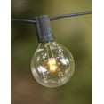 thumbnail image 3 of Outdoor String Lights LED Globe String Lights G50 Bulb 25 Ft Black C7 Strand Warm White, 3 of 3