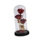 thumbnail image 5 of Adorno de regalo de rosa para San Valentín Lámpara de noche con bendición para San Valentín Rojo, 5 of 9