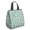 Dinosaur and Text, variant on Dinosaur and Volcano Green Pattern Insulated Lunch Bag for Women Men, Large Portable Soft Cooler Tote, Thermal Food Storage Bag with Pearl Cotton, 8.66L, 8.75"x5.75"x9.5"