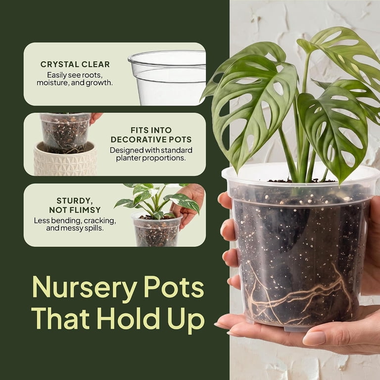 6 Inch Clear Nursery Pots with Drainage | in Multiple Sizes Small ...