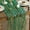 Green, variant on Sm:)e Embroidered Daisy Gauze Table Runner 120 Inches (10 Feet), Seasonal Sheer Decor for Kitchen & Dining Spaces, Ideal for Holidays, Weddings, Birthdays & Home Parties