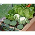 thumbnail image 6 of Palram - Canopia Drip Irrigation Kit, 6 of 6