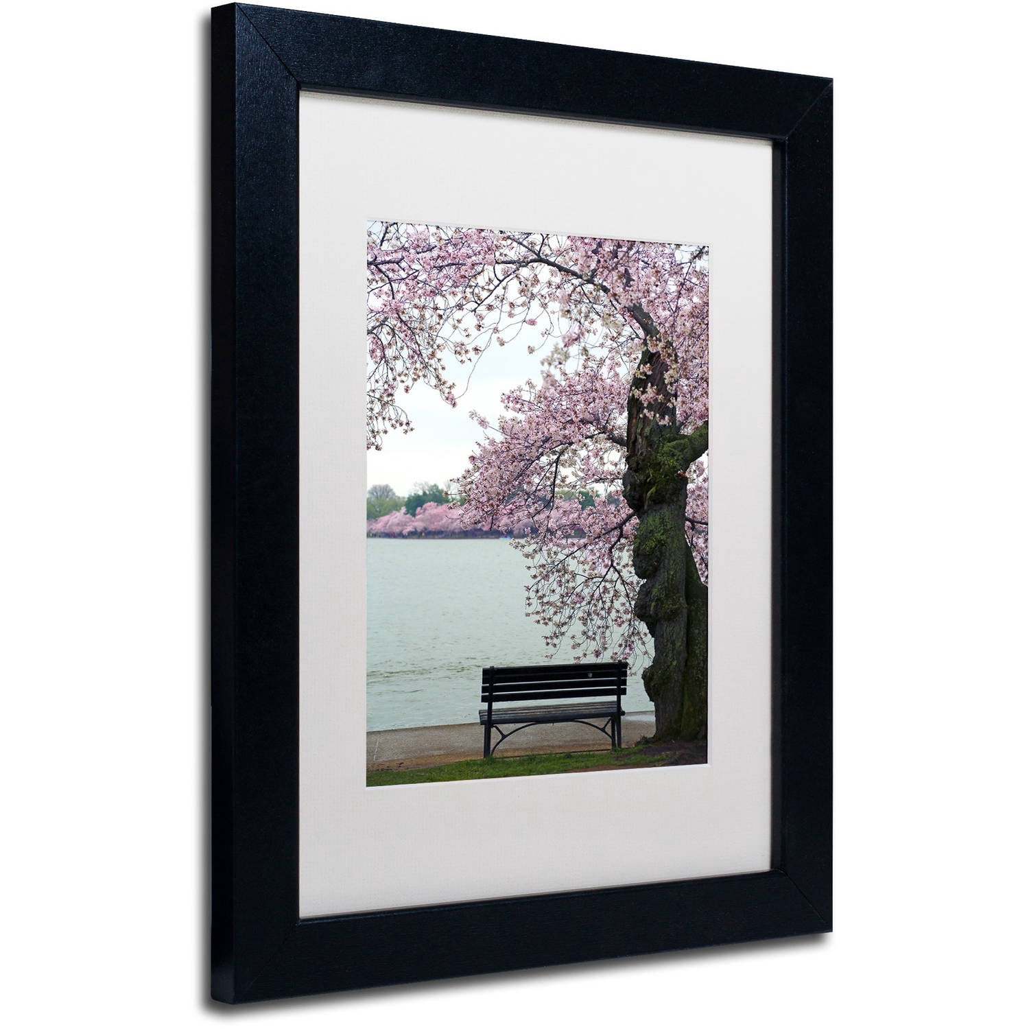 Trademark Fine Art "Tranquility" Canvas Art by CATeyes, White Matte, Black Frame
