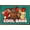 Bronze Framed Version, variant on Adopt Me! - Cool Gang Wall Poster, 14.725" x 22.375"