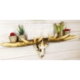 thumbnail image 5 of Rustic Western Moose Elk Skull With Point Hook Antlers Wall Floating Shelf 22"L, 5 of 5