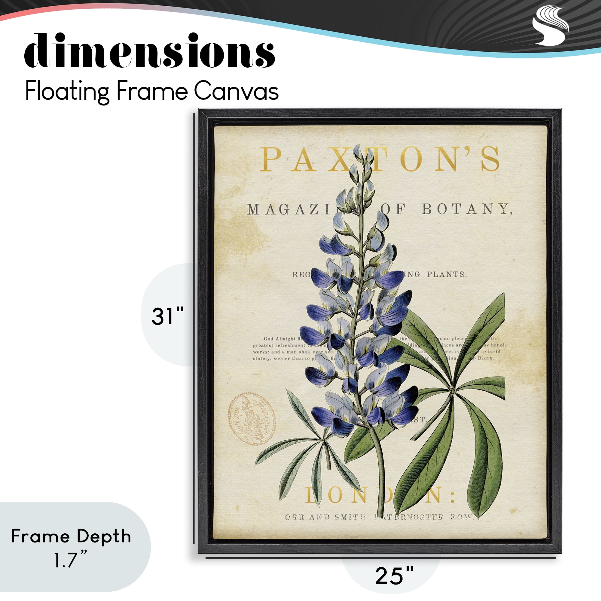 Stupell Industries Natural Botany Lupine Black Framed Floater Canvas Wall Art, design by Susan Arnot