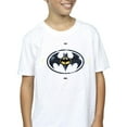 thumbnail image 3 of DC Comics Garçon The Flash Batman Logo en Métal T-Shirt, 3 of 4