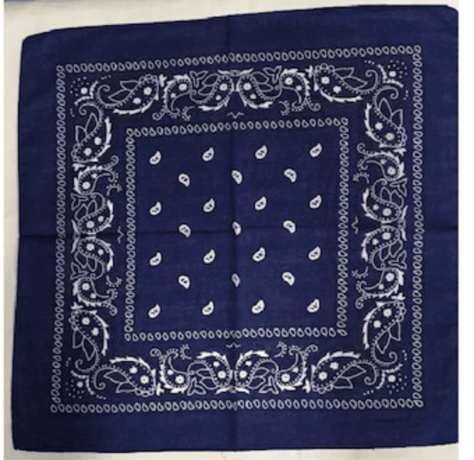 Wholesale Lot of 6 Paisley Red Roses Navy Blue 22"x22" 100% Cotton Bandanna 