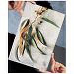 The FRAMELESS CLIP 8one-half inchx11 frame by Framatic - 8.5x11